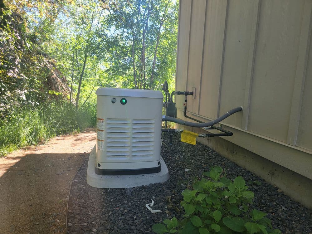 Residential generator installation beside a house, surrounded by greenery and gravel pathway.